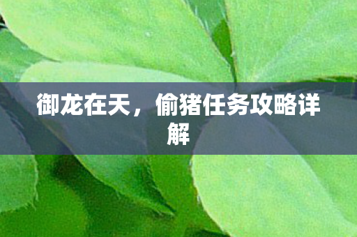 御龙在天,偷猪任务攻略详解 御龙在天,偷猪任务攻略详解