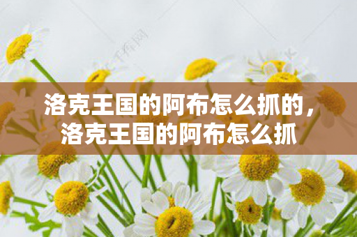 洛克王国的阿布怎么抓的，洛克王国的阿布怎么抓