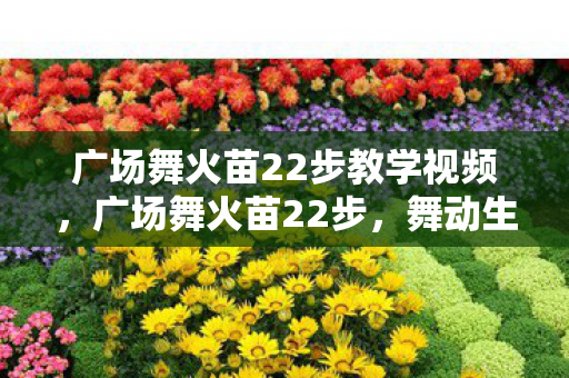 广场舞火苗22步教学视频,广场舞火苗22步,舞动生活的艺术 广场舞火苗22步教学视频,广场舞火苗22步,舞动生活的艺术