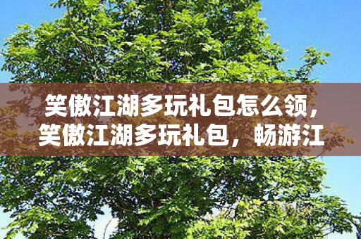 笑傲江湖多玩礼包怎么领,笑傲江湖多玩礼包,畅游江湖,尽享游戏乐趣 笑傲江湖多玩礼包怎么领,笑傲江湖多玩礼包,畅游江湖,尽享游戏乐趣