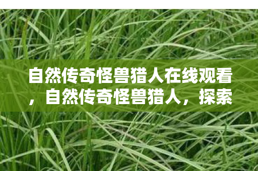 自然传奇怪兽猎人在线观看，自然传奇怪兽猎人，探索未知世界的神秘冒险
