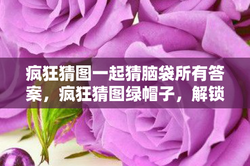 疯狂猜图一起猜脑袋所有答案,疯狂猜图绿帽子,解锁趣味与智慧的双重挑战 疯狂猜图一起猜脑袋所有答案,疯狂猜图绿帽子,解锁趣味与智慧的双重挑战