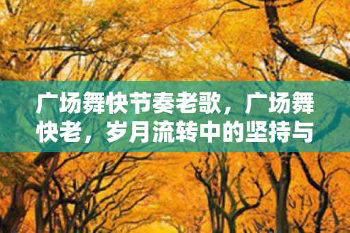 广场舞快节奏老歌，广场舞快老，岁月流转中的坚持与传承