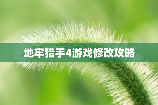 地牢猎手4游戏修改攻略 地牢猎手4游戏修改攻略