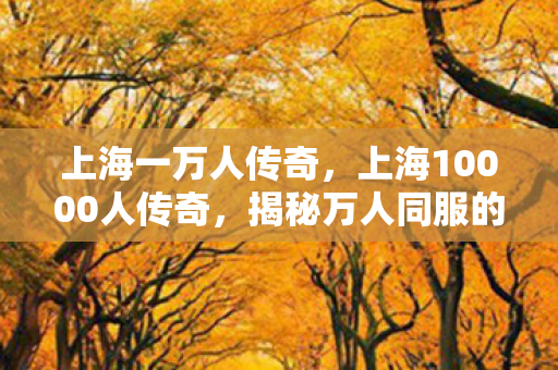 上海一万人传奇,上海10000人传奇,揭秘万人同服的游戏盛宴 上海一万人传奇,上海10000人传奇,揭秘万人同服的游戏盛宴