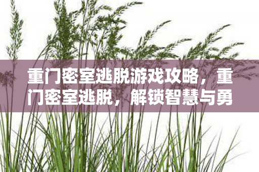 重门密室逃脱游戏攻略,重门密室逃脱,解锁智慧与勇气的挑战 重门密室逃脱游戏攻略,重门密室逃脱,解锁智慧与勇气的挑战