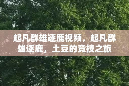 起凡群雄逐鹿视频,起凡群雄逐鹿,土豆的竞技之旅 起凡群雄逐鹿视频,起凡群雄逐鹿,土豆的竞技之旅