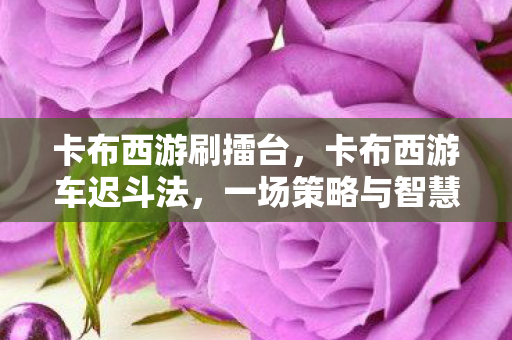 卡布西游刷擂台,卡布西游车迟斗法,一场策略与智慧的较量 卡布西游刷擂台,卡布西游车迟斗法,一场策略与智慧的较量