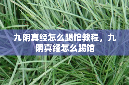 九阴真经怎么踢馆教程，九阴真经怎么踢馆