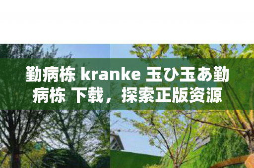 勤病栋 kranke 玉ひ玉あ勤病栋 下载,探索正版资源获取的新途径 勤病栋 kranke 玉ひ玉あ勤病栋 下载,探索正版资源获取的新途径