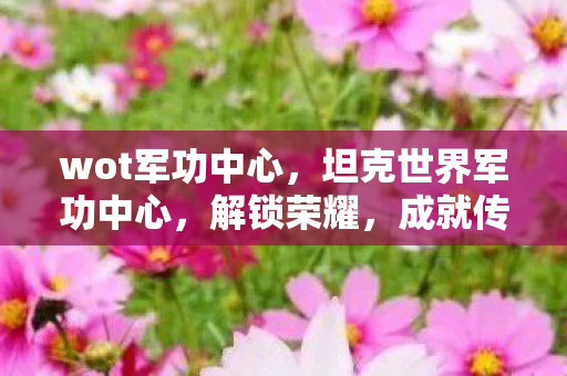 wot军功中心,坦克世界军功中心,解锁荣耀,成就传奇 wot军功中心,坦克世界军功中心,解锁荣耀,成就传奇