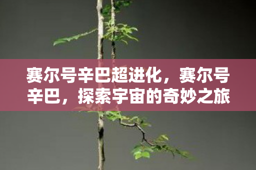 赛尔号辛巴超进化，赛尔号辛巴，探索宇宙的奇妙之旅