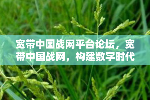 宽带中国战网平台论坛，宽带中国战网，构建数字时代的桥梁