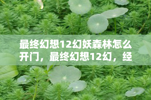 最终幻想12幻妖森林怎么开门,最终幻想12幻,经典重制的魅力与深度解析 最终幻想12幻妖森林怎么开门,最终幻想12幻,经典重制的魅力与深度解析