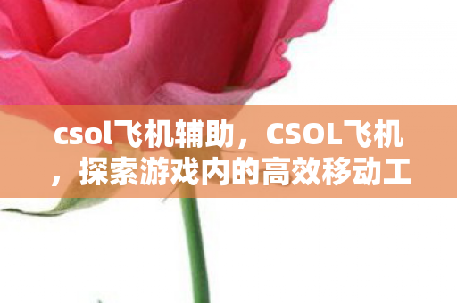 csol飞机辅助,CSOL飞机,探索游戏内的高效移动工具 csol飞机辅助,CSOL飞机,探索游戏内的高效移动工具