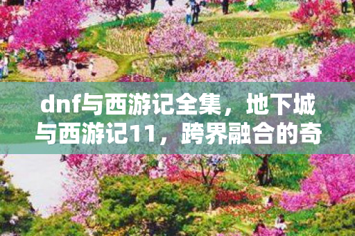 dnf与西游记全集,地下城与西游记11,跨界融合的奇幻冒险 dnf与西游记全集,地下城与西游记11,跨界融合的奇幻冒险