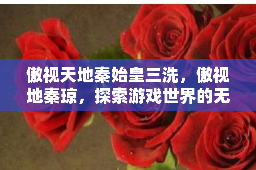 傲视天地秦始皇三洗,傲视地秦琼,探索游戏世界的无限可能 傲视天地秦始皇三洗,傲视地秦琼,探索游戏世界的无限可能