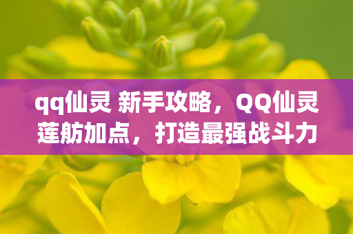 qq仙灵 新手攻略,QQ仙灵莲舫加点,打造最强战斗力的策略指南 qq仙灵 新手攻略,QQ仙灵莲舫加点,打造最强战斗力的策略指南