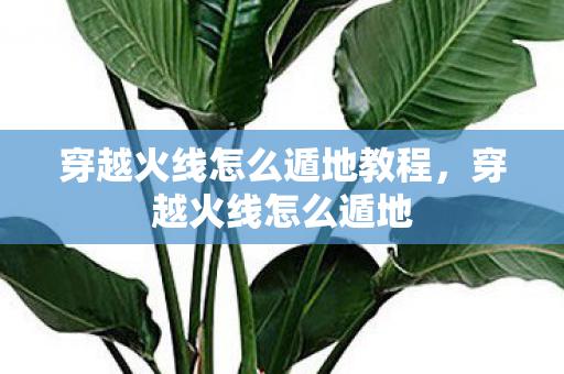 穿越火线怎么遁地教程,穿越火线怎么遁地 穿越火线怎么遁地教程,穿越火线怎么遁地