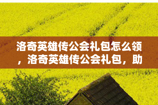 洛奇英雄传公会礼包怎么领,洛奇英雄传公会礼包,助力公会成长,打造传奇团队 洛奇英雄传公会礼包怎么领,洛奇英雄传公会礼包,助力公会成长,打造传奇团队