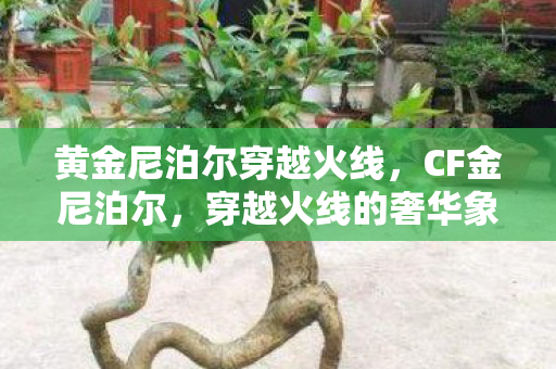 黄金尼泊尔穿越火线，CF金尼泊尔，穿越火线的奢华象征与实战利器