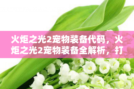 火炬之光2宠物装备代码,火炬之光2宠物装备全解析,打造最强萌宠的必备神器 火炬之光2宠物装备代码,火炬之光2宠物装备全解析,打造最强萌宠的必备神器