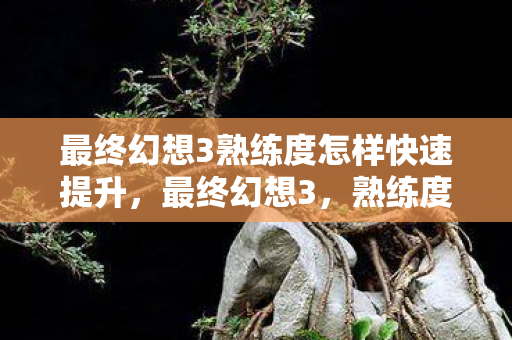 最终幻想3熟练度怎样快速提升,最终幻想3,熟练度背后的故事与技巧 最终幻想3熟练度怎样快速提升,最终幻想3,熟练度背后的故事与技巧