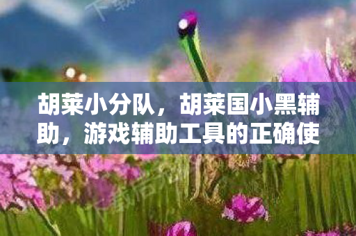 胡莱小分队,胡莱国小黑辅助,游戏辅助工具的正确使用与注意事项 胡莱小分队,胡莱国小黑辅助,游戏辅助工具的正确使用与注意事项