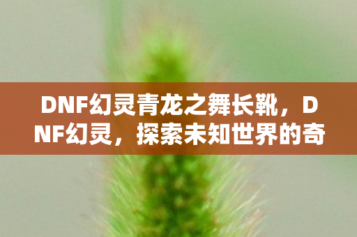 DNF幻灵青龙之舞长靴,DNF幻灵,探索未知世界的奇幻之旅 DNF幻灵青龙之舞长靴,DNF幻灵,探索未知世界的奇幻之旅