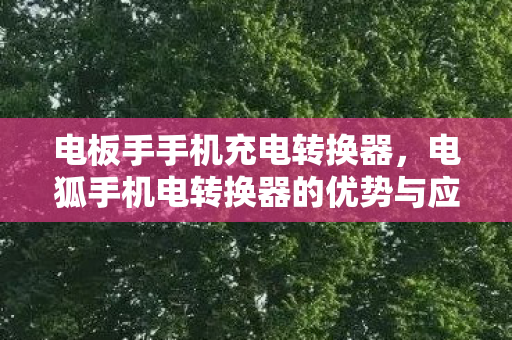 电板手手机充电转换器,电狐手机电转换器的优势与应用解析 电板手手机充电转换器,电狐手机电转换器的优势与应用解析