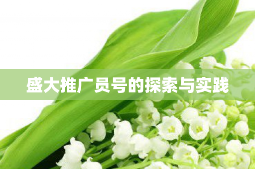 盛大推广员号的探索与实践 盛大推广员号的探索与实践