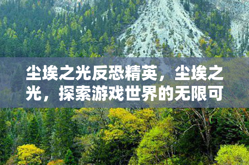 尘埃之光反恐精英,尘埃之光,探索游戏世界的无限可能 尘埃之光反恐精英,尘埃之光,探索游戏世界的无限可能