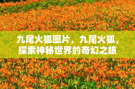 九尾火狐图片,九尾火狐,探索神秘世界的奇幻之旅 九尾火狐图片,九尾火狐,探索神秘世界的奇幻之旅