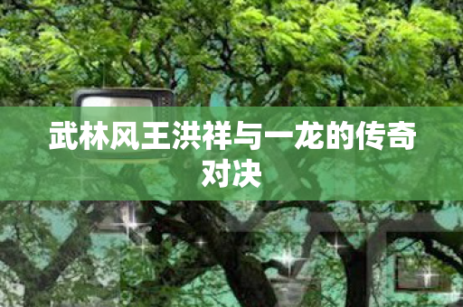 武林风王洪祥与一龙的传奇对决