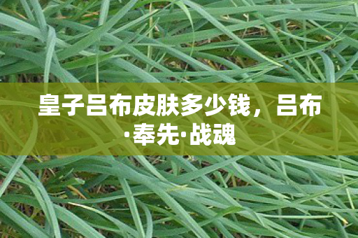皇子吕布皮肤多少钱,吕布·奉先·战魂 皇子吕布皮肤多少钱,吕布·奉先·战魂