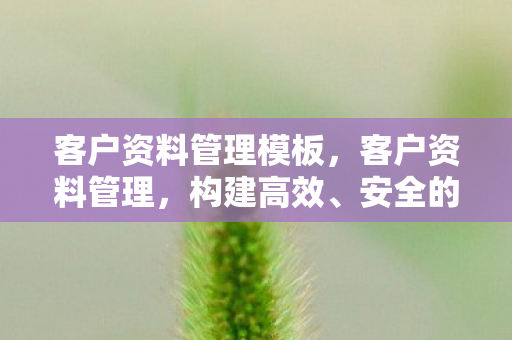 客户资料管理模板,客户资料管理,构建高效、安全的客户数据体系 客户资料管理模板,客户资料管理,构建高效、安全的客户数据体系