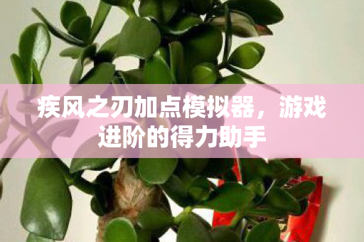 疾风之刃加点模拟器，游戏进阶的得力助手