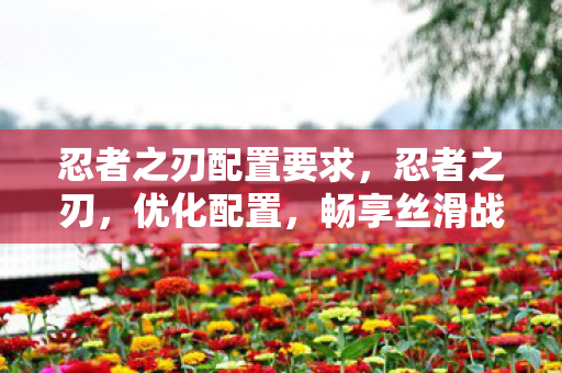 忍者之刃配置要求,忍者之刃,优化配置,畅享丝滑战斗体验 忍者之刃配置要求,忍者之刃,优化配置,畅享丝滑战斗体验