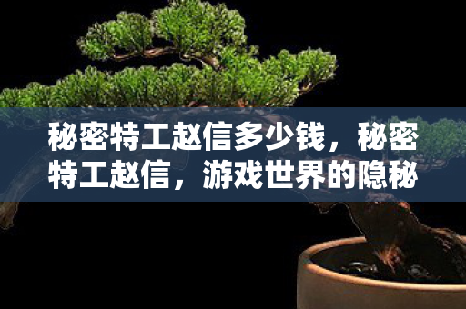 秘密特工赵信多少钱,秘密特工赵信,游戏世界的隐秘守护者 秘密特工赵信多少钱,秘密特工赵信,游戏世界的隐秘守护者