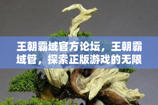 王朝霸域官方论坛,王朝霸域管,探索正版游戏的无限可能 王朝霸域官方论坛,王朝霸域管,探索正版游戏的无限可能