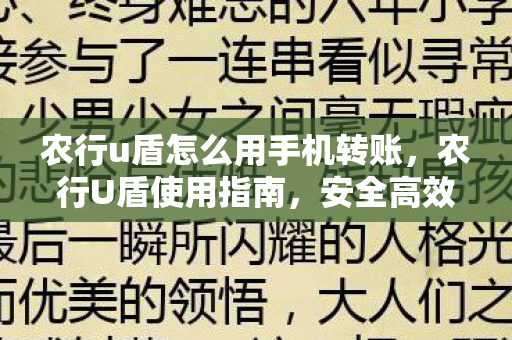 农行u盾怎么用手机转账，农行U盾使用指南，安全高效完成转账操作