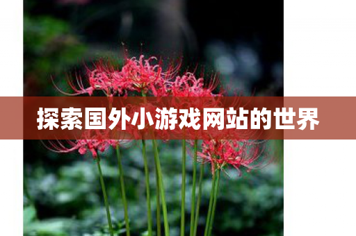 探索国外小游戏网站的世界