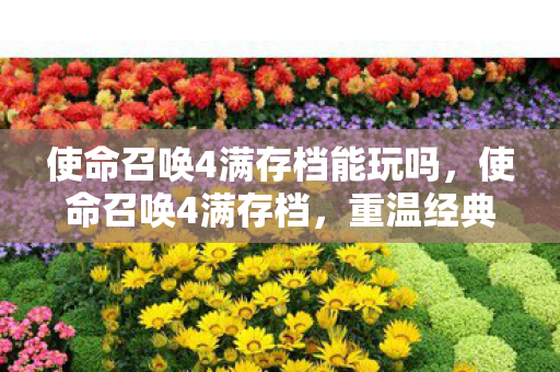 使命召唤4满存档能玩吗,使命召唤4满存档,重温经典,解锁无限可能 使命召唤4满存档能玩吗,使命召唤4满存档,重温经典,解锁无限可能