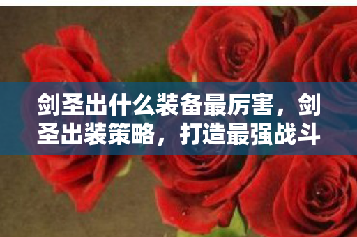 剑圣出什么装备最厉害，剑圣出装策略，打造最强战斗力的关键装备选择