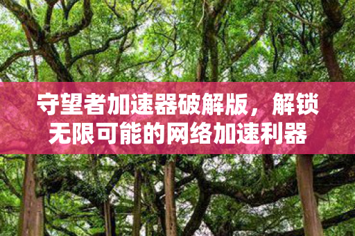 守望者加速器破解版，解锁无限可能的网络加速利器