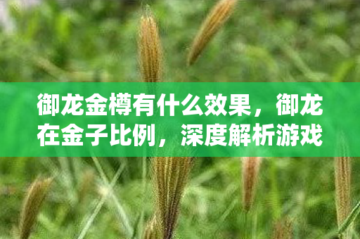御龙金樽有什么效果,御龙在金子比例,深度解析游戏内经济系统的奥秘 御龙金樽有什么效果,御龙在金子比例,深度解析游戏内经济系统的奥秘