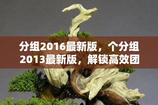 分组2016最新版,个分组2013最新版,解锁高效团队协作的新篇章 分组2016最新版,个分组2013最新版,解锁高效团队协作的新篇章
