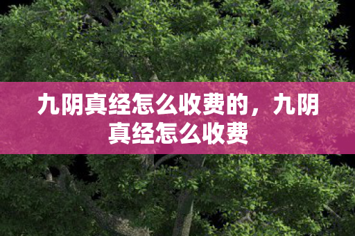 九阴真经怎么收费的,九阴真经怎么收费 九阴真经怎么收费的,九阴真经怎么收费