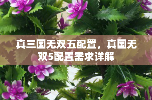 真三国无双五配置，真国无双5配置需求详解