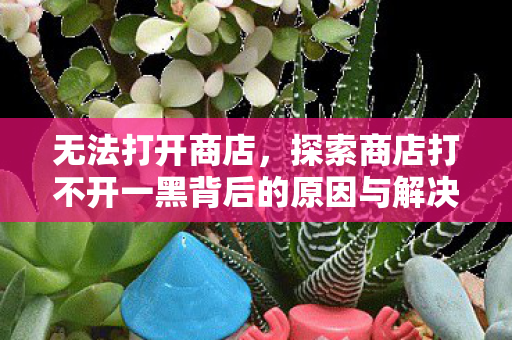 无法打开商店,探索商店打不开一黑背后的原因与解决方案 无法打开商店,探索商店打不开一黑背后的原因与解决方案